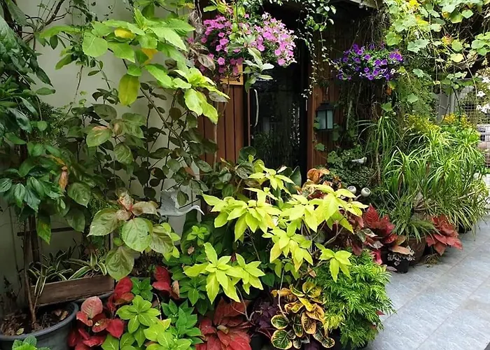 37 Nature House Bangkok