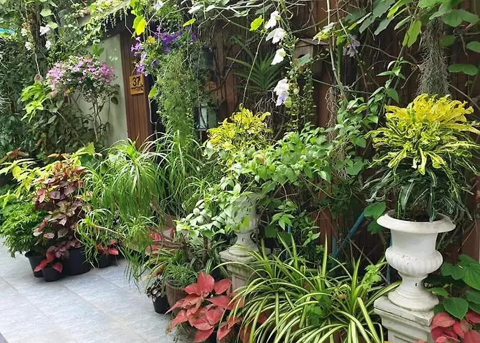 37 Nature House Alloggio in famiglia